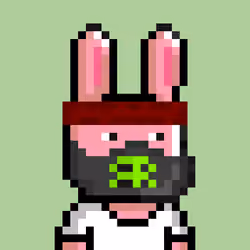 Bunny Warriors #2187