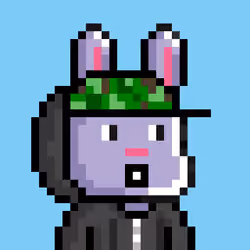 Bunny Warriors #6486