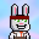 Bunny Warriors #1447