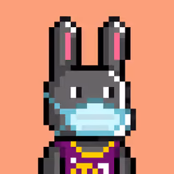 Bunny Warriors #2989