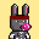 Bunny Warriors #5550