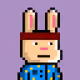 Bunny Warriors #4547