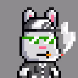 Bunny Warriors #875