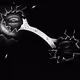 The Realm of Seismic Emotions