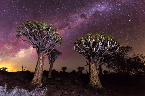 Iseya Shinsuke Into the mind