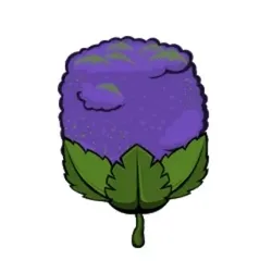MetaGlitch #808