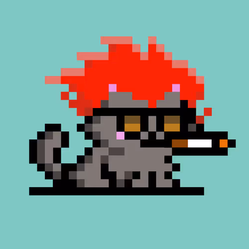 Morning Cats