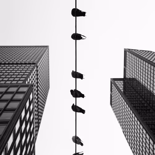 On The Wire V2