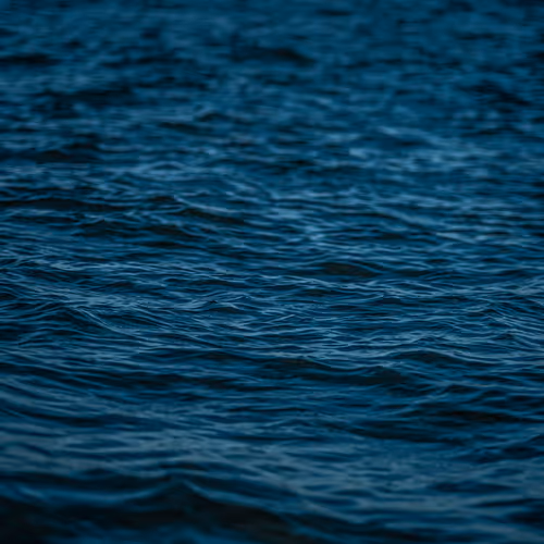 Miss The Sea V2