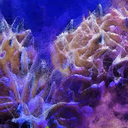 Machine Hallucinations - Coral - Generative AI Data Painting C #78
