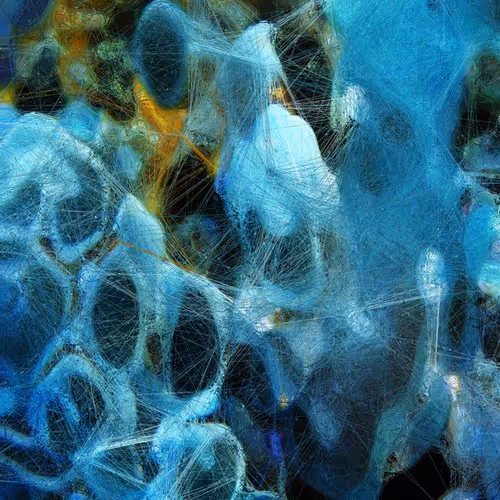 Machine Hallucinations Coral Generative Ai Data Pa
