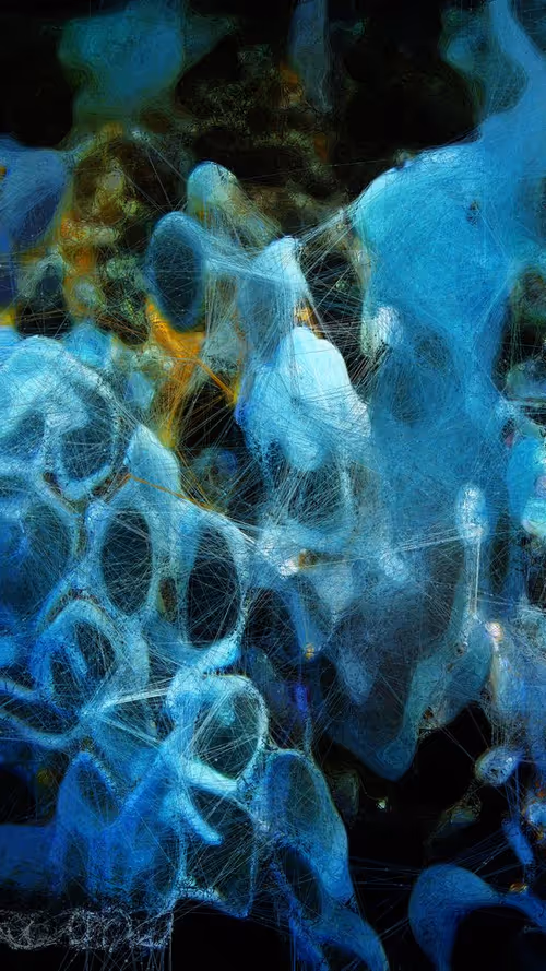 Item #71000090 Media