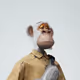171