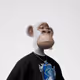 813