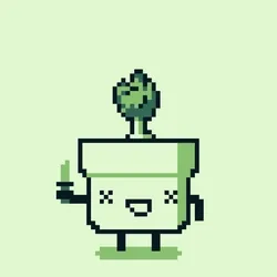 Pot #355