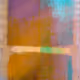 NpN Abstracted Studies