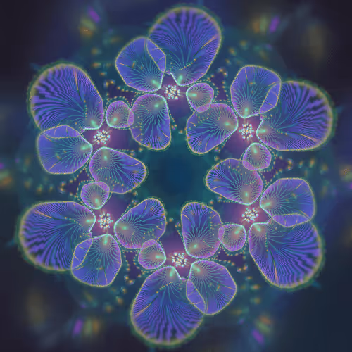 Reva x LiveArt Memberships