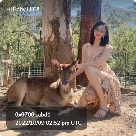 Item #68316344420332526779755251397469602667563581821609136464731217614906830356580 Media