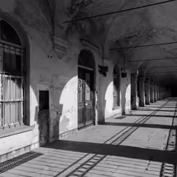 long shadows