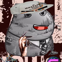 1081