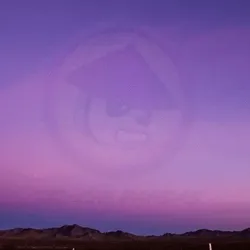 TAI-CHI PANDAS