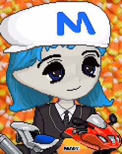 Item Media