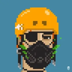 Punk #71