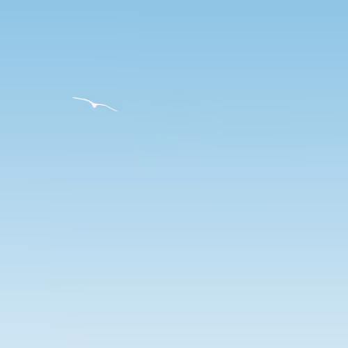 Bluesky