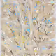 243