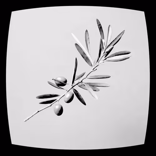 PEACE TROPE by KEVIN ABOSCH