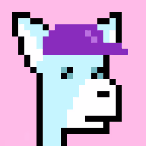 Punkasses