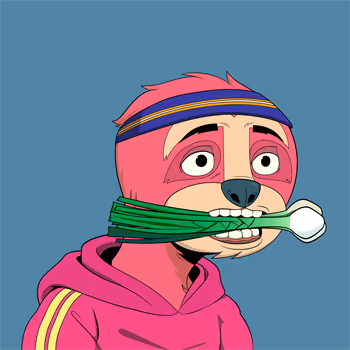 Casual Sloths Official