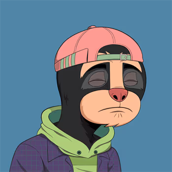 Casual Sloths Official