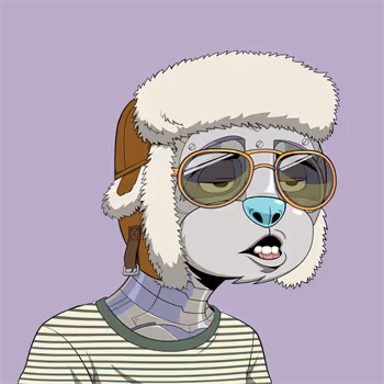 Casual Sloths Official