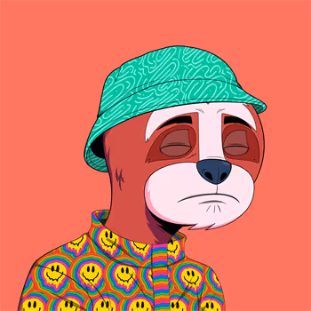 Casual Sloths Official