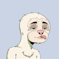 Sloth #2585