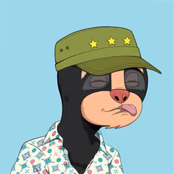Sloth #1571