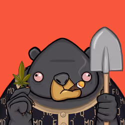 FomoFuZZ #62