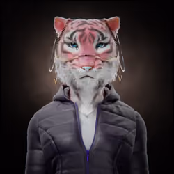Tigress 72