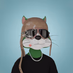 Degen District #625