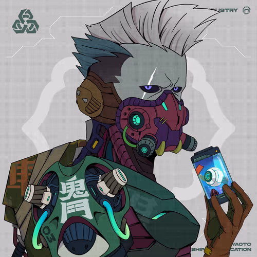 Nuo2069 Chip