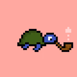 Zeno Turtle #7247