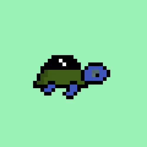 Zenoturtlerace