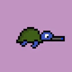 Zeno Turtle #8717