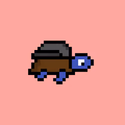 Zeno Turtle #7800