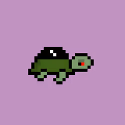 Zeno Turtle #7197