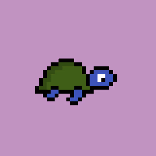 Zenoturtlerace