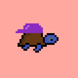 Zeno Turtle #8719