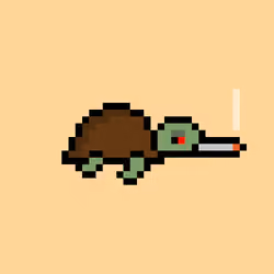 Zeno Turtle #398