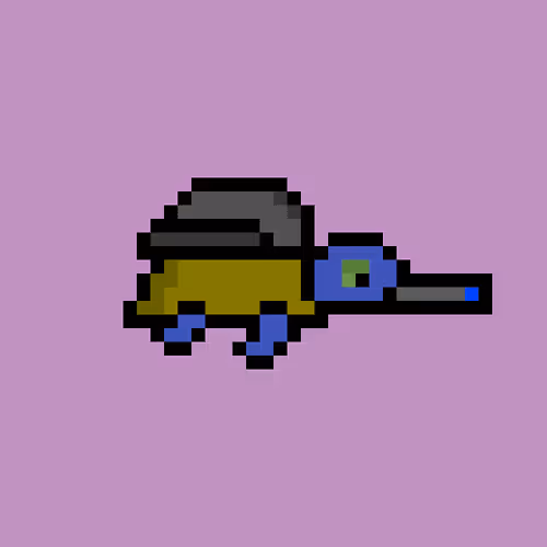 Zenoturtlerace